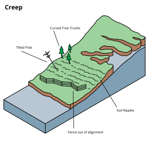 A diagram showing a Creep landslide movement. Several features are labelled: curved tree trunks, a tilted pole, soil ripples, and a fence out of alignment.